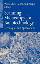 Scanning Microscopy for Nanotechnology