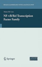 NF-kB/Rel Transcription Factor Family
