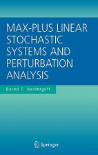 Max-Plus Linear Stochastic Systems and Perturbation Analysis