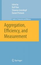 Aggregation, Efficiency, and Measurement