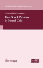 Heat Shock Proteins in Neural Cells