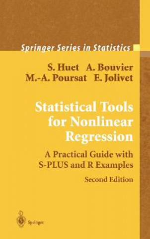 Statistical Tools for Nonlinear Regression