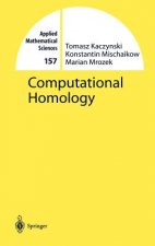 Computational Homology