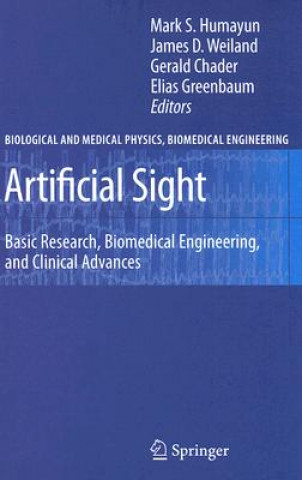 Artificial Sight