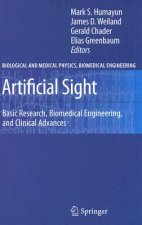 Artificial Sight