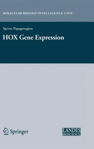 HOX Gene Expression