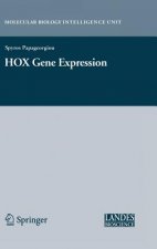 HOX Gene Expression