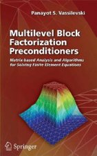 Multilevel Block Factorization Preconditioners