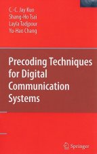 Precoding Techniques for Digital Communication Systems