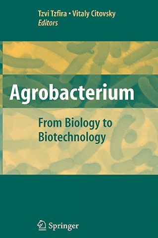 Agrobacterium: From Biology to Biotechnology