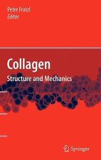 Collagen