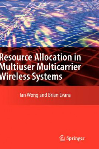 Resource Allocation in Multiuser Multicarrier Wireless Systems