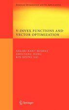 V-Invex Functions and Vector Optimization