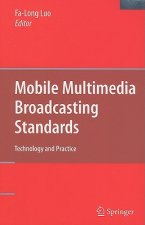 Mobile Multimedia Broadcasting Standards