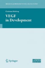 VEGF in Development