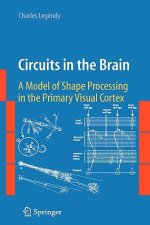 Circuits in the Brain