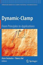 Dynamic-Clamp