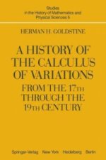 A History of the Calculus of Variations from the 17th through the 19th Century