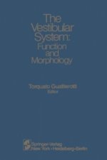 The Vestibular System