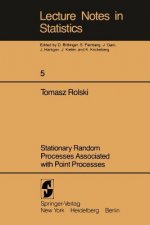 Stationary Random Processes Associated with Point Processes