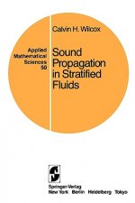 Sound Propagation in Stratified Fluids