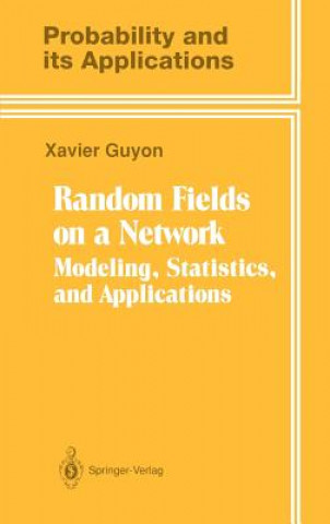 Random Fields on a Network