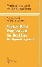 Marked Point Processes on the Real Line