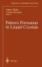 Pattern Formation in Liquid Crystals