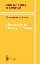 Statistical Theory of Shape