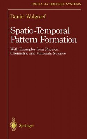 Spatio-Temporal Pattern Formation
