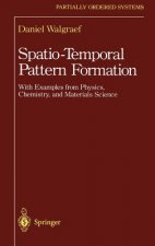 Spatio-Temporal Pattern Formation