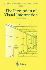 Perception of Visual Information