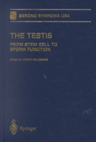 The Testis