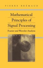 Mathematical Principles of Signal Processing