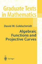 Algebraic Functions and Projective Curves