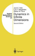 Dynamics in Infinite Dimensions