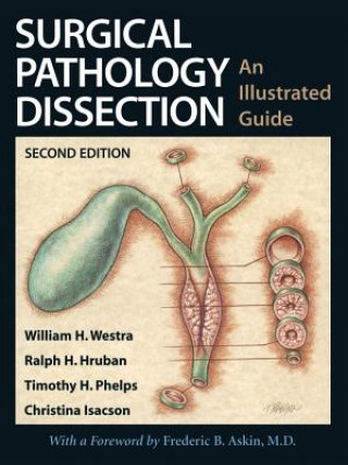 Surgical Pathology Dissection (William H. Westra,Ralph H. Hruban,Timothy H. Phelps)(Brožovaná)