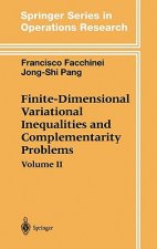 Finite-Dimensional Variational Inequalities and Complementarity Problems