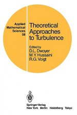 Theoretical Approaches to Turbulence