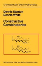 Constructive Combinatorics