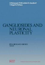 Gangliosides and Neuronal Plasticity