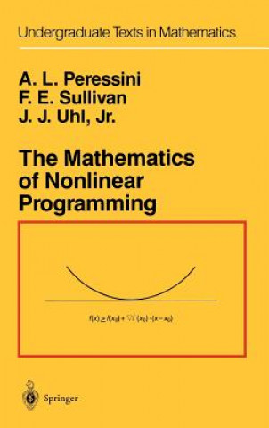 Mathematics of Nonlinear Programming