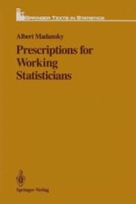 Prescriptions for Working Statisticians