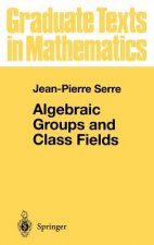 Algebraic Groups and Class Fields