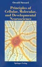 Principles of Cellular, Molecular, and Developmental Neuroscience