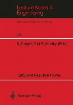 Turbulent Reactive Flows