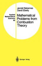 Mathematical Problems from Combustion Theory