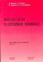From Luigi Galvani to Contemporary Neurobiology