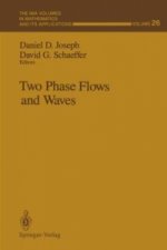 Two Phase Flows and Waves