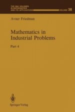 Mathematics in Industrial Problems